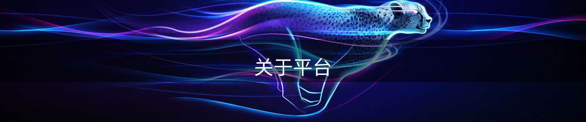 关于平台