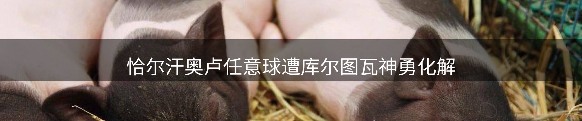 新闻展望