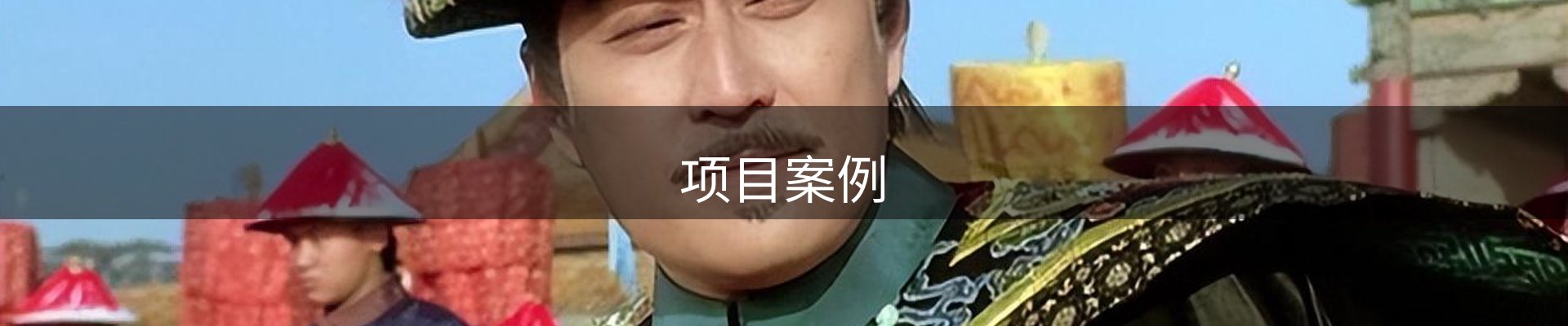 项目案例